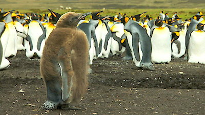 Earth Odyssey with Dylan Dreyer Season 1 Episode 10