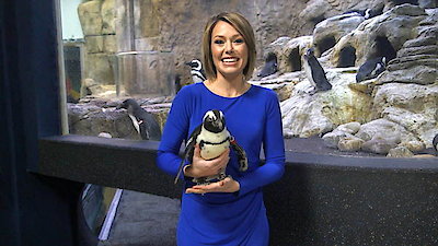 Earth Odyssey with Dylan Dreyer Season 1 Episode 11