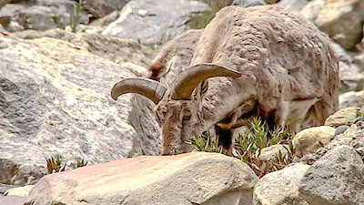 Earth Odyssey with Dylan Dreyer Season 1 Episode 12