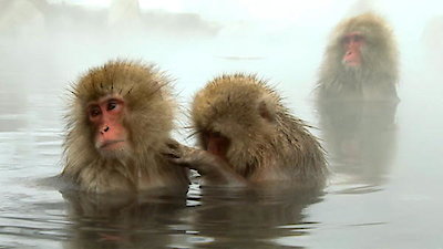 Earth Odyssey with Dylan Dreyer Season 1 Episode 13