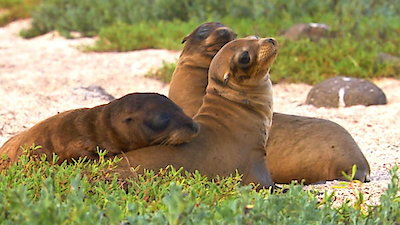 Earth Odyssey with Dylan Dreyer Season 1 Episode 14