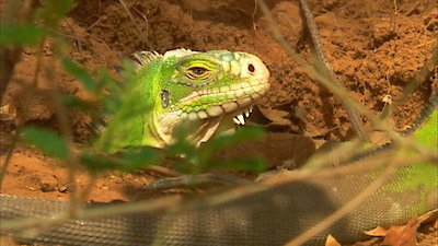 Earth Odyssey with Dylan Dreyer Season 1 Episode 15