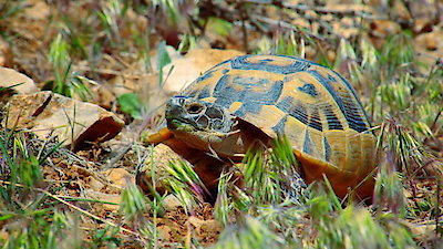 Earth Odyssey with Dylan Dreyer Season 1 Episode 16