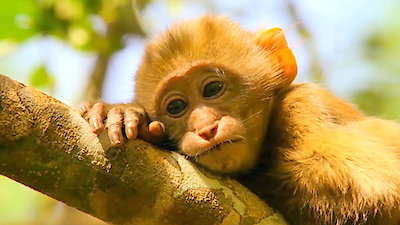 Earth Odyssey with Dylan Dreyer Season 2 Episode 2