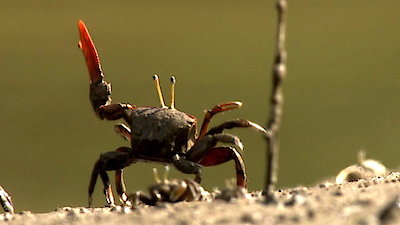 Earth Odyssey with Dylan Dreyer Season 2 Episode 3