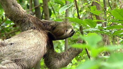 Earth Odyssey with Dylan Dreyer Season 2 Episode 4