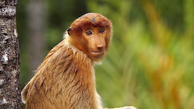 Earth Odyssey with Dylan Dreyer Season 2 Episode 14