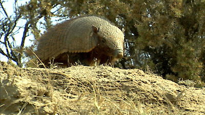 Earth Odyssey with Dylan Dreyer Season 2 Episode 16