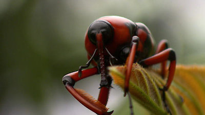 Earth Odyssey with Dylan Dreyer Season 2 Episode 17