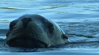 Earth Odyssey with Dylan Dreyer Season 2 Episode 18