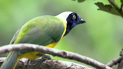 Earth Odyssey with Dylan Dreyer Season 2 Episode 30