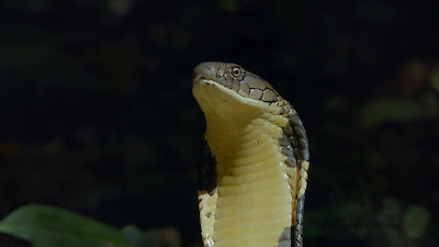 Earth Odyssey with Dylan Dreyer Season 3 Episode 5