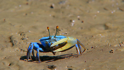 Earth Odyssey with Dylan Dreyer Season 3 Episode 7