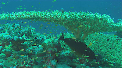 Earth Odyssey with Dylan Dreyer Season 3 Episode 8