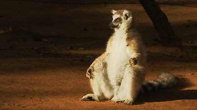 Earth Odyssey with Dylan Dreyer Season 3 Episode 9