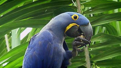 Earth Odyssey with Dylan Dreyer Season 3 Episode 11