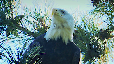 Earth Odyssey with Dylan Dreyer Season 3 Episode 15