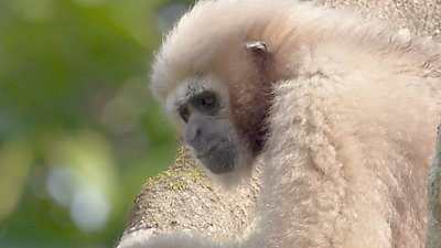 Earth Odyssey with Dylan Dreyer Season 3 Episode 16