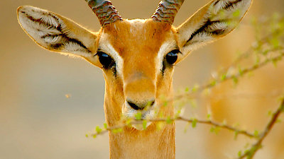 Earth Odyssey with Dylan Dreyer Season 3 Episode 17