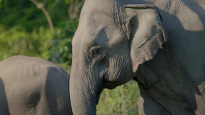 Earth Odyssey with Dylan Dreyer Season 3 Episode 18