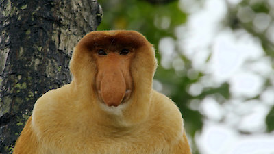 Earth Odyssey with Dylan Dreyer Season 3 Episode 19