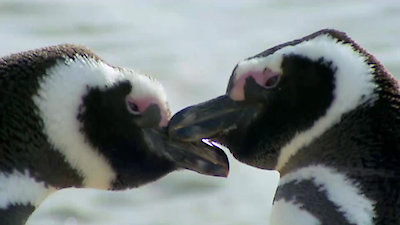 Earth Odyssey with Dylan Dreyer Season 3 Episode 20