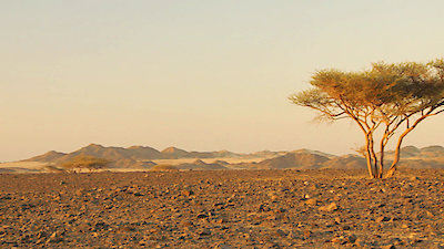 Earth Odyssey with Dylan Dreyer Season 3 Episode 21