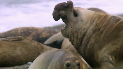 Earth Odyssey with Dylan Dreyer Season 3 Episode 23