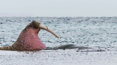 Earth Odyssey with Dylan Dreyer Season 3 Episode 25