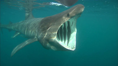 Earth Odyssey with Dylan Dreyer Season 3 Episode 26