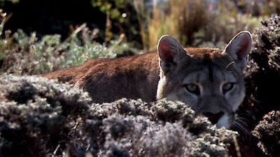 Earth Odyssey with Dylan Dreyer Season 3 Episode 27