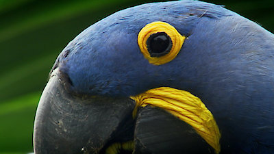 Earth Odyssey with Dylan Dreyer Season 3 Episode 28