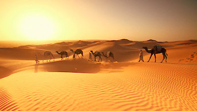 Earth Odyssey with Dylan Dreyer Season 3 Episode 29