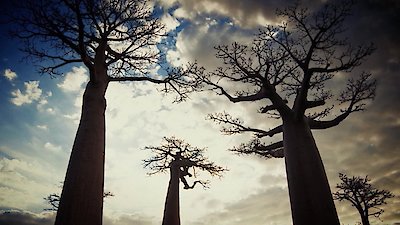 Earth Odyssey with Dylan Dreyer Season 3 Episode 33