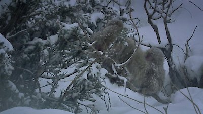 Earth Odyssey with Dylan Dreyer Season 3 Episode 36