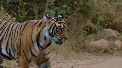 Earth Odyssey with Dylan Dreyer Season 3 Episode 37