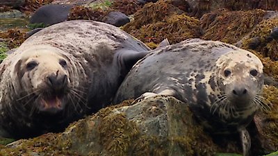 Earth Odyssey with Dylan Dreyer Season 3 Episode 38