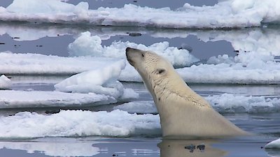 Earth Odyssey with Dylan Dreyer Season 3 Episode 39