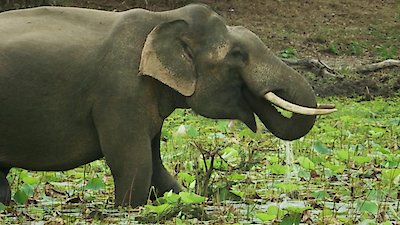 Earth Odyssey with Dylan Dreyer Season 3 Episode 40