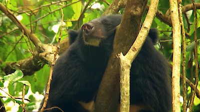 Earth Odyssey with Dylan Dreyer Season 3 Episode 41