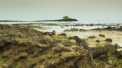 Earth Odyssey with Dylan Dreyer Season 3 Episode 43