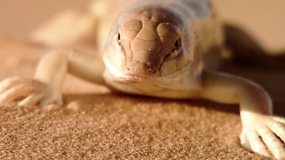 Earth Odyssey with Dylan Dreyer Season 4 Episode 1