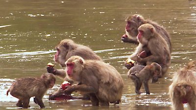 Earth Odyssey with Dylan Dreyer Season 4 Episode 2