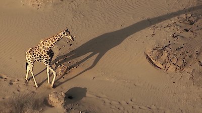 Earth Odyssey with Dylan Dreyer Season 4 Episode 3