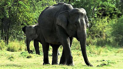 Earth Odyssey with Dylan Dreyer Season 4 Episode 5