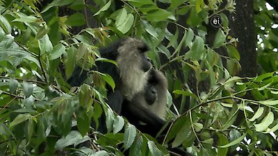 Earth Odyssey with Dylan Dreyer Season 4 Episode 6