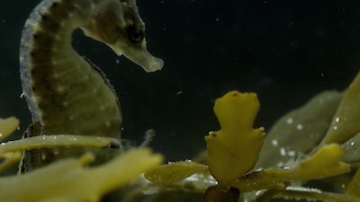 Earth Odyssey with Dylan Dreyer Season 4 Episode 7