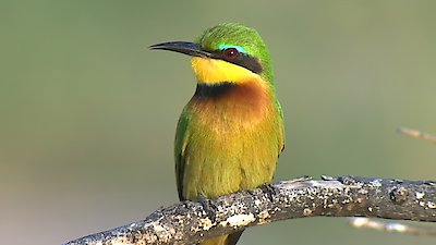 Earth Odyssey with Dylan Dreyer Season 5 Episode 4