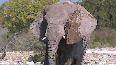 Earth Odyssey with Dylan Dreyer Season 5 Episode 5