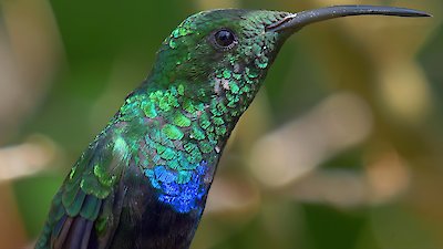 Earth Odyssey with Dylan Dreyer Season 5 Episode 3